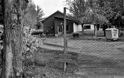 Poljoprivredno gazdinstvo Stajićevo, Republika Srbija