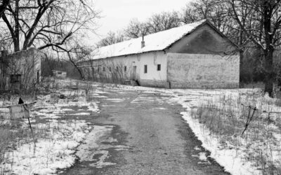 Poljoprivredno gazdinstvo Stajićevo, Republika Srbija